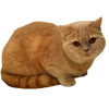 Клаус _!Д!уШа_ Клаус