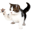 Шурочка _!Д!уШа_ Шурочка