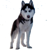 Граф OopsS Граф