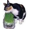 Шуня _!Д!уШа_ Шуня