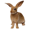 Джудди _!Д!уШа_ Джудди